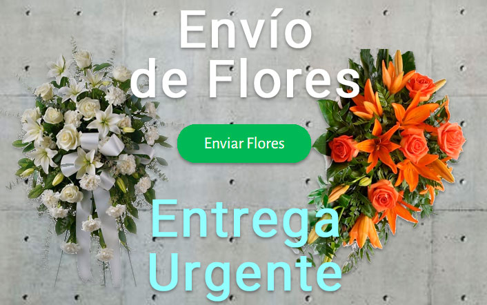 Envio de flores urgente a Tanatorio Bilbao 